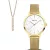 Bering Classic Damenuhr Satz 13434-334-GWP