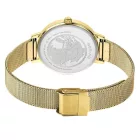 Bering Classic Damenuhr Satz 13434-334-GWP