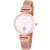 Astron Damenuhr 8038-0