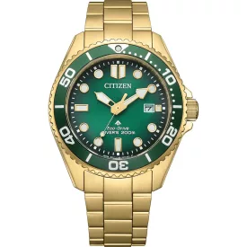 Citizen Promaster Marine Herrenuhr BN0262-59W