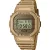 Casio G-Shock Herrenuhr Satz DWE-5600HG-1ER