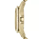 FOSSIL betrachten ES3203