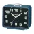 Casio Wecker TQ-218-2EF